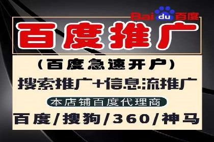 某企业如何通过SEM提升品牌知名度的案例